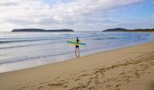 Surfer on Broulee Beach, Eurobodalla, South Coast